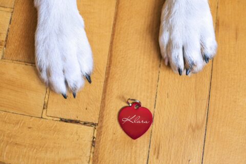 Pet Tag