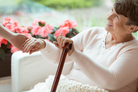 Leading Senior Care Services: Personalized Care for Seniors