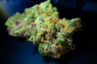The Strongest Sativa Strains: High-THC Weed for Energy and Creativity